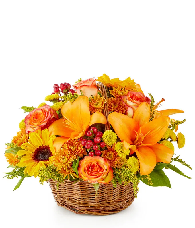 Harvest Moon Basket view 3